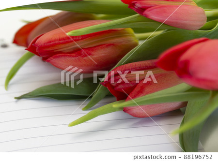red tulips and notebook paper background. Copy space, greeting card postcard banner cover mockup, for your design horizontal 88196752