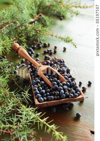 Wooden bowl with seeds of juniper. Wooden bowl with seeds of juniper. 88197587