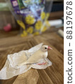 Java sparrow relaxing by eating rice 88197678