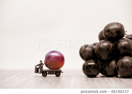 Farmer carrying raspberries red grape. Macro photo Farmer carrying raspberries red grape. Macro photo 88198237