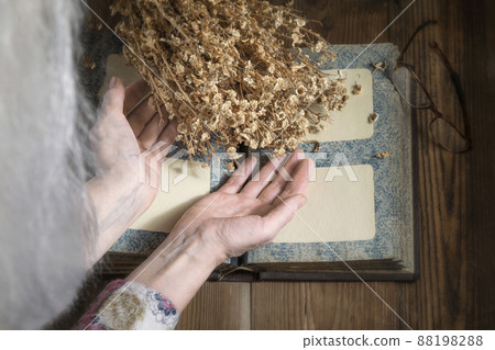 Elderly woman looking into old vintage photo album next to dried flowers from past life. Vintage Photo Album Elderly woman looking into old vintage photo album next to dried flowers from past life. Vintage Photo Album 88198288
