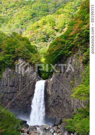 苗名瀑布(新潟縣) 苗名瀑布(新潟縣) 88199355