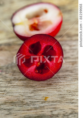 cut into half ripe red berries of garden cranberries cut into half ripe red berries of garden cranberries 88199668