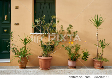Plants in pots on near a textured wall with a window, Greece. 88200562