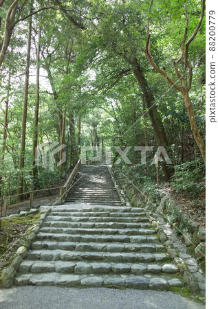 通往田宮的石階_伊勢神宮 通往田宮的石階_伊勢神宮 88200779