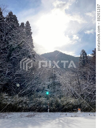 Snow scenery Snow scenery 88201287