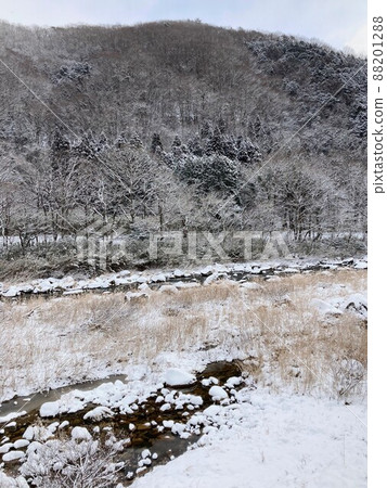 Snow scenery Snow scenery 88201288