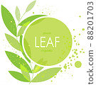 Green leaves on white background, vector illustration 88201703