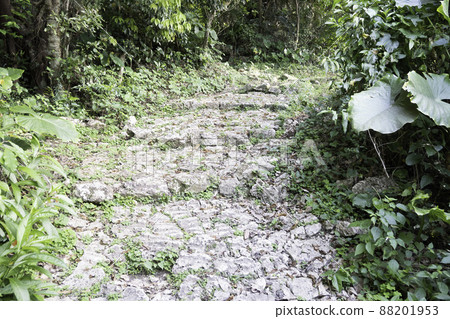 Road to Naha Sueyoshigu 88201953