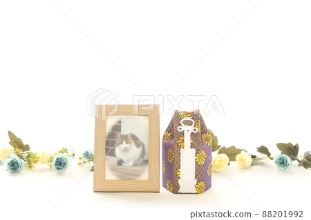 窗台上追悼會的寵物骨灰盒 1 88201992