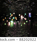 Jellyfish dance 2 88202022