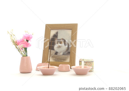 Photographs and urns for pet memorial services displayed on the windowsill Photographs and urns for pet memorial services displayed on the windowsill 88202065
