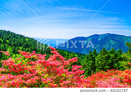 Yamatotsuji of Mt. Katsuragi and Mt. Kongo 88202297