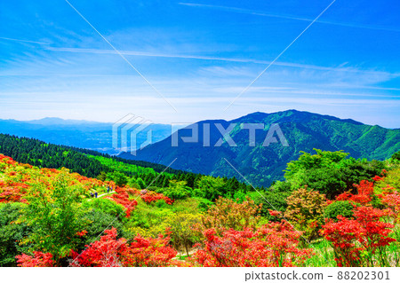 Yamatotsuji of Mt. Katsuragi and Mt. Kongo 88202301