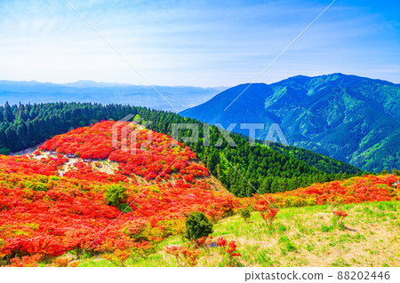 Yamatotsuji of Mt. Katsuragi and Mt. Kongo 88202446