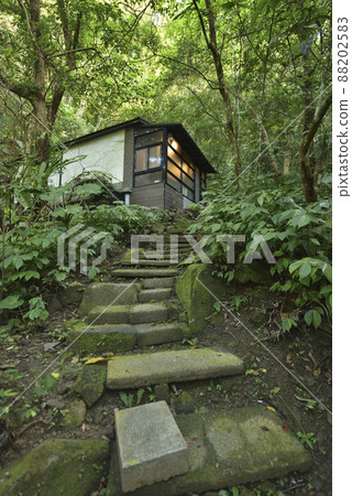Native forest stone steps and chalets in natural environment Native forest stone steps and chalets in natural environment 88202583