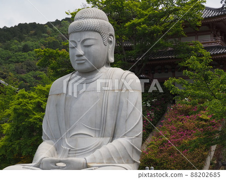 The Great Buddha of Tsubosaka-dera The Great Buddha of Tsubosaka-dera 88202685