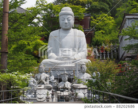 The Great Buddha of Tsubosaka-dera The Great Buddha of Tsubosaka-dera 88202686
