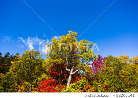 北海道旭岳,日本最早的紅葉 北海道旭岳,日本最早的紅葉 88203141