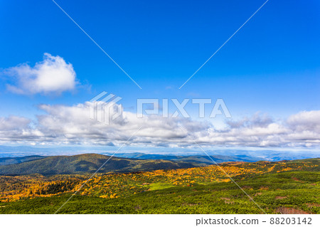 九月北海道旭岳,秋葉風光 九月北海道旭岳,秋葉風光 88203142