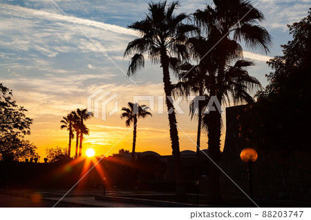 Morning fresh of sunrise on January 1, 2012 at Abu Simbel Village in Aswan, Upper Egypt. 88203747