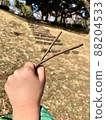 Child's hand holding a twig 88204533