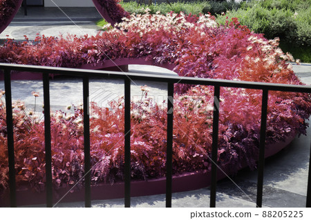 Outdoor seating in a cafe 88205225