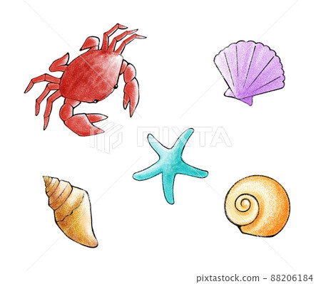 Illustration set of cute seaside creatures (crabs, starfish, shellfish) in pastel style Illustration set of cute seaside creatures (crabs, starfish, shellfish) in pastel style 88206184