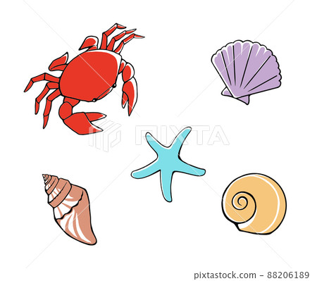 流行和可愛的海邊生物(螃蟹、海星、貝類)的插圖集 流行和可愛的海邊生物(螃蟹、海星、貝類)的插圖集 88206189