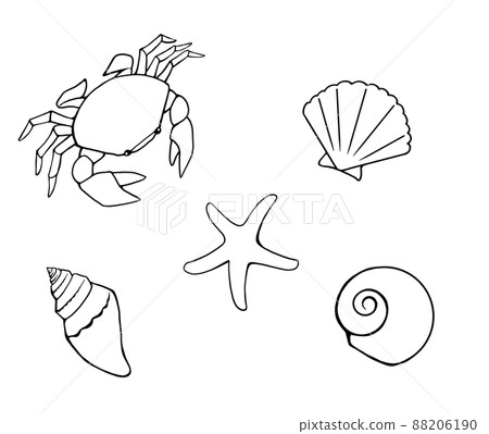 Simple line drawing illustration set of cute seaside creatures (crabs, starfish, shellfish) Simple line drawing illustration set of cute seaside creatures (crabs, starfish, shellfish) 88206190