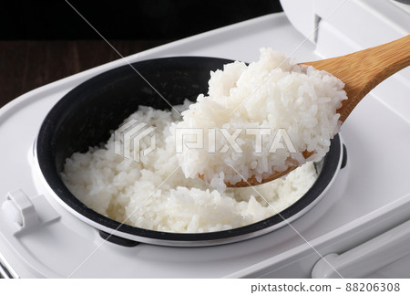 rice  88206308