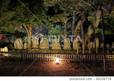 Kyoto Daikakuji Tsukimi Evening October 3, 2020 Kyoto Daikakuji Tsukimi Evening October 3, 2020 88206739