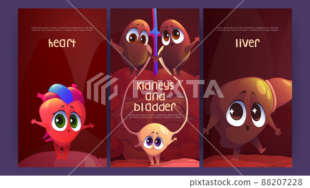 Posters with internal organs, heart, liver, kidney Posters with internal organs, heart, liver, kidney 88207228