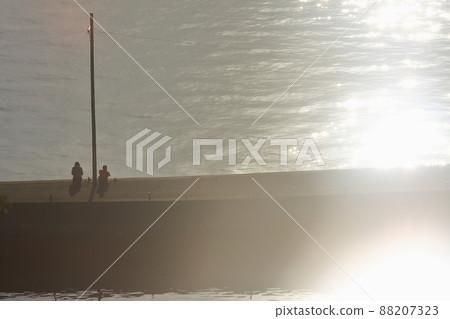 去海邊度過悠閒時光的人 88207323