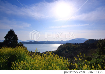 春天的瀨戶內風景 88207336