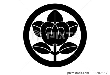 日本家族徽章上的橘 88207337