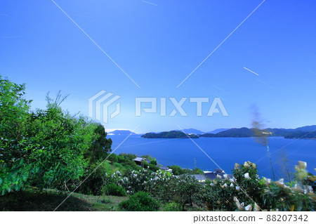 Loquat fields and the sea of Seto floating on the moonlit night 88207342