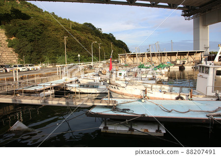 下井港 下井漁港 瀨戶大橋 岡山縣倉敷市 瀨戶內海 88207491