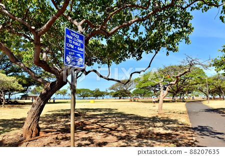 Holidays in Hawaii 88207635