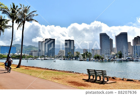 Holidays in Hawaii 88207636