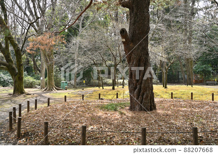 Komaba Park: Former Marquis Maeda House, Marquis Maeda House, Lawn Square, Walking Path Komaba Park: Former Marquis Maeda House, Marquis Maeda House, Lawn Square, Walking Path 88207668