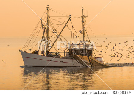 Fishing boat on the North Sea fishes with a trawl net 88208339