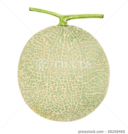 水彩插圖瓜 88208468
