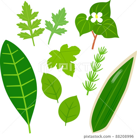 插圖集野草茶和藥材 88208996