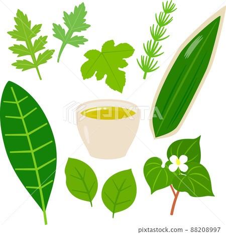 野草茶插畫集 野草茶插畫集 88208997