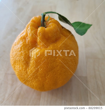 Hanbalong Hanbalong 88209015