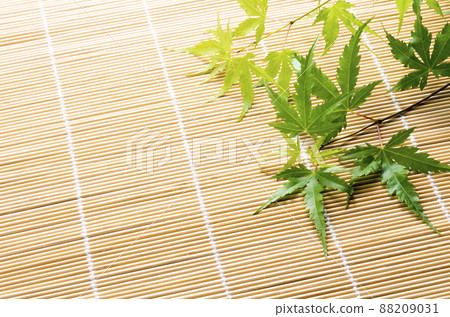 Blue leaves Blue leaves 88209031