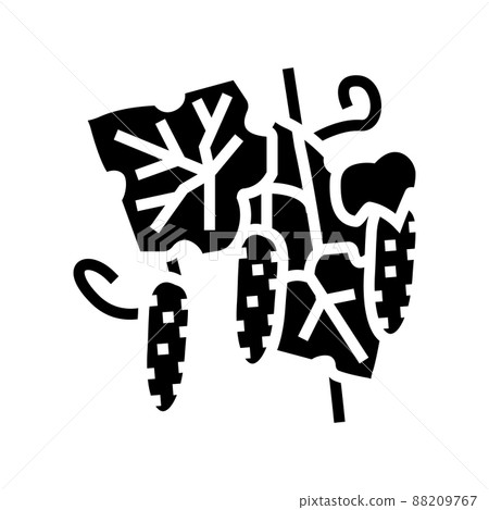 growing natural cucumber glyph icon vector illustration 88209767
