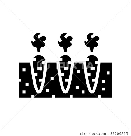 garden with growing carrot glyph icon vector illustration 88209865