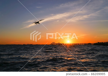 Gungpyeong Port sunset 88209995